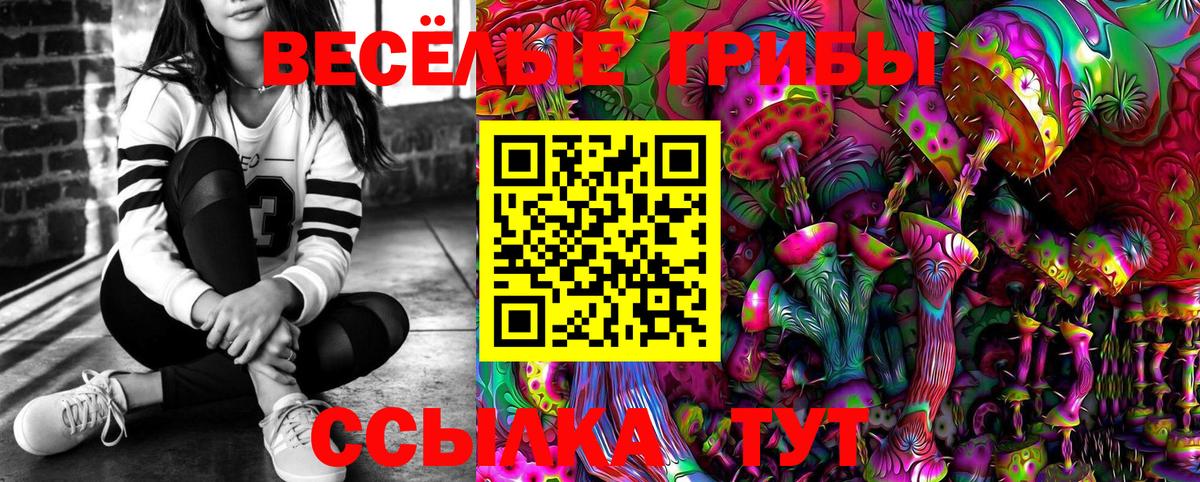 Павловский Посад  Галлюциногенные грибы Psilocybine cubensis  Вход с VPN 
