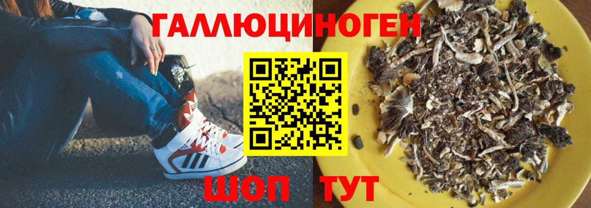 Псилоцибиновые грибы GOLDEN TEACHER Павловский Посад
